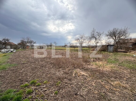 Casa de vânzare 2 camere Jucu de Sus - 136902CV | BLITZ Cluj-Napoca | Poza4