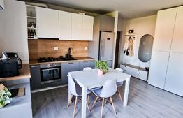 Apartament  2 camere, 46mp, zona Teilor