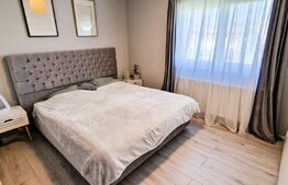 Apartament  2 camere, 46mp, zona Teilor