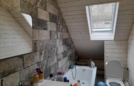 Casa din bârne 4 camere în vatra satului ȘIRNEA