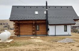 Casa din bârne 4 camere în vatra satului ȘIRNEA