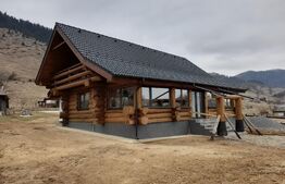 Casa din bârne 4 camere în vatra satului ȘIRNEA