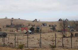 Casa din bârne 4 camere în vatra satului ȘIRNEA