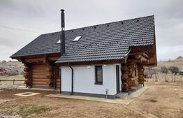 Casa din bârne 4 camere în vatra satului ȘIRNEA