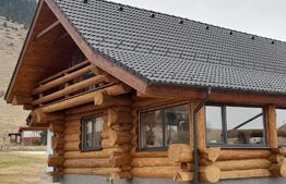 Casa din bârne 4 camere în vatra satului ȘIRNEA