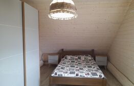 Casa din bârne 4 camere în vatra satului ȘIRNEA