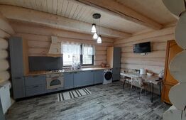 Casa din bârne 4 camere în vatra satului ȘIRNEA