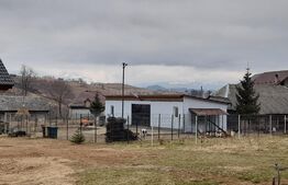 Casa din bârne 4 camere în vatra satului ȘIRNEA