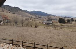 Casa din bârne 4 camere în vatra satului ȘIRNEA