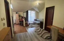 Apartament cu 2 camere, 42 mp + balcon, zona Petrom