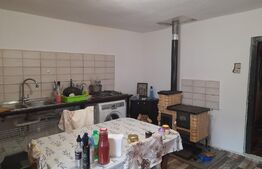 Casa traditionala in vatra satului, 110mp, Șirnea 