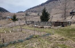 Casa traditionala in vatra satului, 110mp, Șirnea 