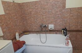 Casa traditionala in vatra satului, 110mp, Șirnea 