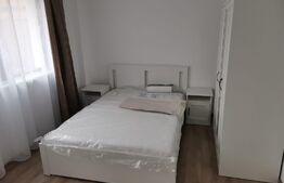 Apartament 2 camere, , Prima inchiriere, Parcare, zona PLATINIA MALL