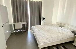 Penthouse la 2 nivele, 2 camere, 60mp, terasa, zona Marasti