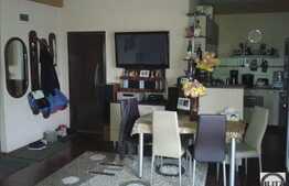 2 camere, 55 mp, imobil nou, partial mobilat, zona Lidl!