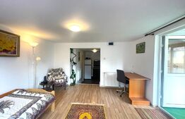 Garsoniera 50 mp, cheltuieli incluse, parcare, zona BT Arena 