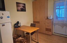 Apartament 2 camere decomandate, zona FSEGA, Iulius Mall 