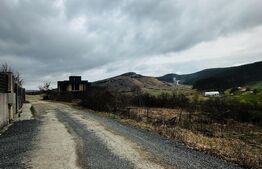 Teren intravilan, 478 mp, front de 23 mp, certificat de urbanism, zona ANL Floresti 