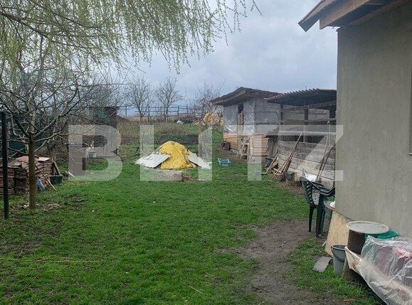 Casa de vânzare 3 camere Apahida - 137212CV | BLITZ Cluj-Napoca | Poza7