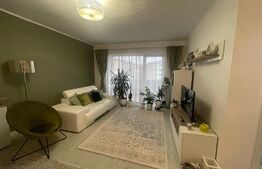 Exclusivitate ! Apartament 2 camere ,55 mp,zona Muzeul Apei 