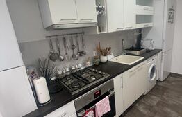 Exclusivitate ! Apartament 2 camere ,55 mp,zona Muzeul Apei 