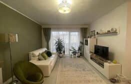 Exclusivitate ! Apartament 2 camere ,55 mp,zona Muzeul Apei 