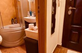 Apartament 1 camera, 22 mp, decomandat, zona Gheorgheni 