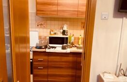 Apartament 1 camera, 22 mp, decomandat, zona Gheorgheni 