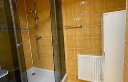 Apartament cu 2 camere, decomandat, 67 mp, pet frindly, zona Buna Ziua