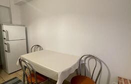 Apartament cu 2 camere, decomandat, 67 mp, pet frindly, zona Buna Ziua