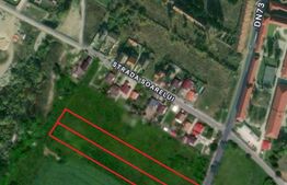 2 X Teren intravilan de vanzare, Rasnov,  10.000mp