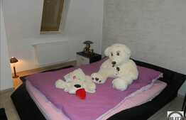 Apartament LUX pe doua nivele, 121 mp, 4 balcoane, zona Muzeul Apei!