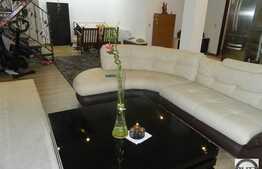 Apartament LUX pe doua nivele, 121 mp, 4 balcoane, zona Muzeul Apei!