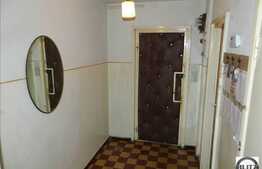 Apartament de vanzare cu 3 camere, zona Brancusi