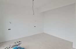 Casa 180 mp utili +470 mp teren,in Dezmir