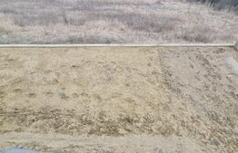 Casa 180 mp utili +470 mp teren,in Dezmir