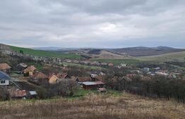 Casa 180 mp utili +470 mp teren,in Dezmir