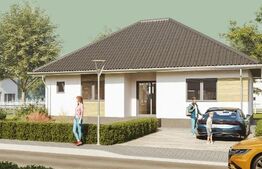 Casa Individuala Jucu, 80mp utili, 900 mp teren, 1 nivel, beci, terasa, semifinisata