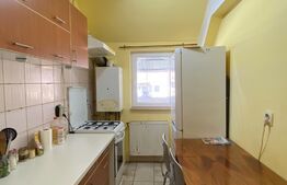 Apartament 2 camere decomandate, 56 mp utili, 12 mp terasa, zona Porii