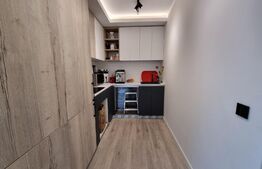 Apartament de lux, 63mp, terasa 54mp, zona Grigorescu