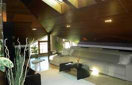 Penthouse 210 mp, zona Eugen Ionesco! Bun gust, design personalizat!