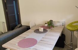 Apartament 3 camere, 63mp utili, gradina, parcare, zona Stejarului