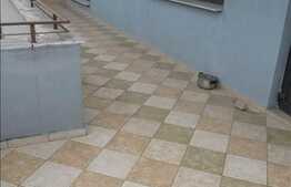 Apartament de lux 3 camere, etaj intermediar, 2 terase, parcare, zona BRD!