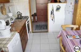 Apartament cu 2 camere, 52 mp, cu garaj, AC, zona strazii Albini