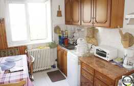 Apartament cu 2 camere, 52 mp, cu garaj, AC, zona strazii Albini