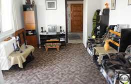 Apartament cu 2 camere, 52 mp, cu garaj, AC, zona strazii Albini