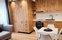 Apartament cu 1 camera decomandata, modern/lux, 34mp,  zona Porii