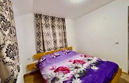 Cabana Valea Ierii, 4 dormitoare, 2 bai, ciubar, 800 mp de teren