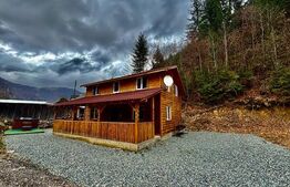 Cabana Valea Ierii, 4 dormitoare, 2 bai, ciubar, 800 mp de teren